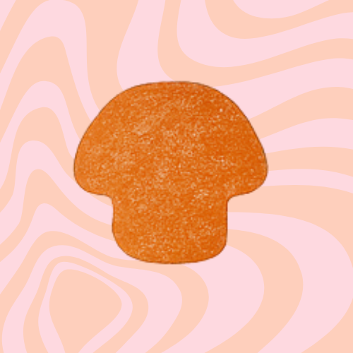 Apricot Eclipse
